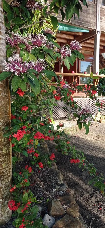 Raiatea - The Beach House - Plage Sur Le Lagon ! Tevaitoa Exterior photo